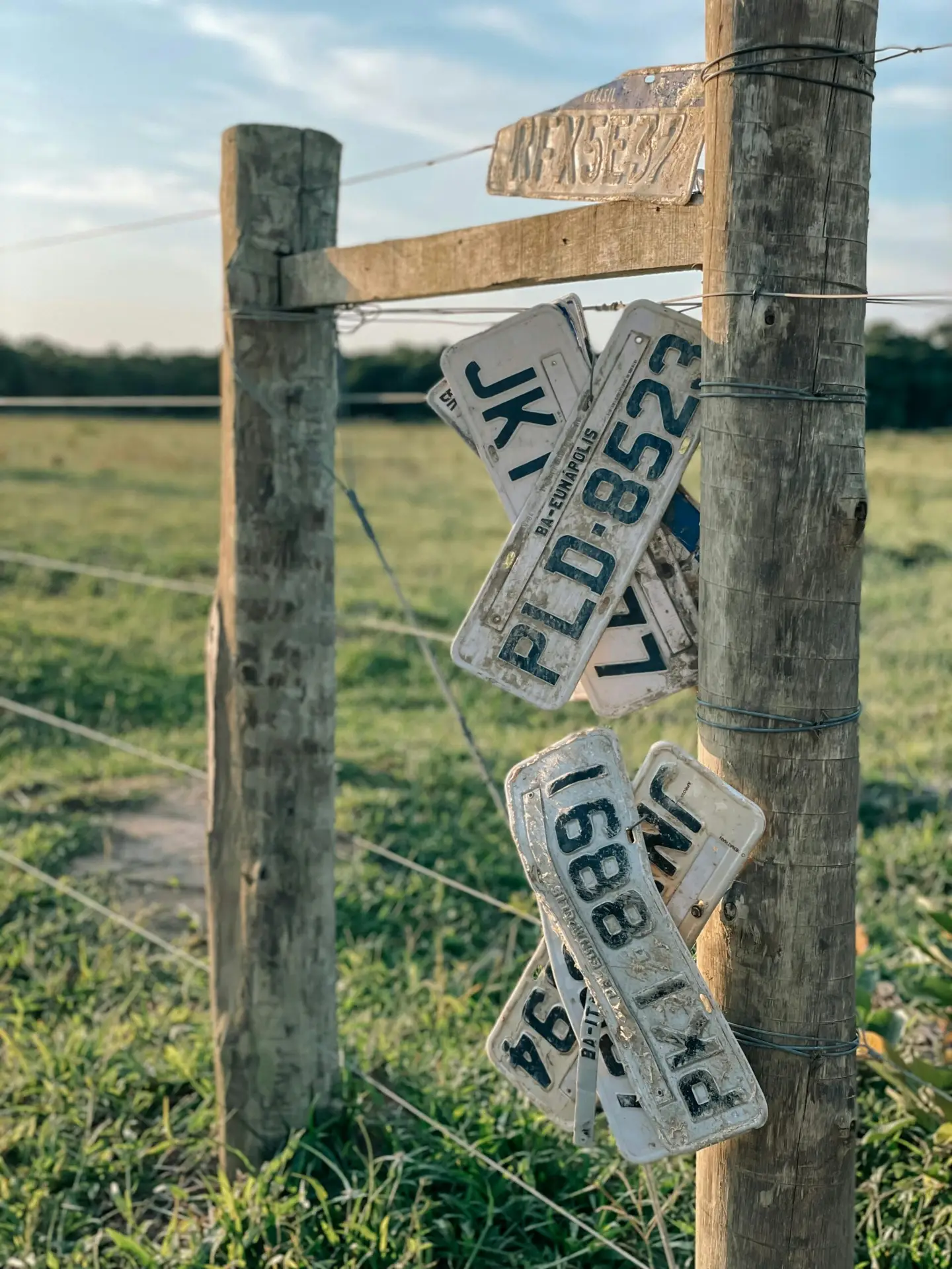 ALT domain name MotorReg.com is for sale.